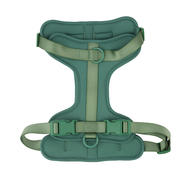 Harnais Chien Anti Traction Leger