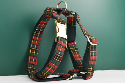 Laisse pour Chien English