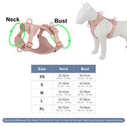 Harnais Chien Anti Traction Leger