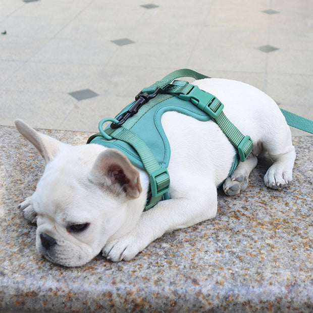 Harnais Chien Anti Traction Leger