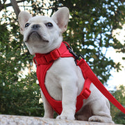 Harnais Chien Anti Traction Leger