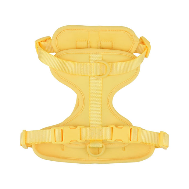 Harnais Chien Anti Traction Leger