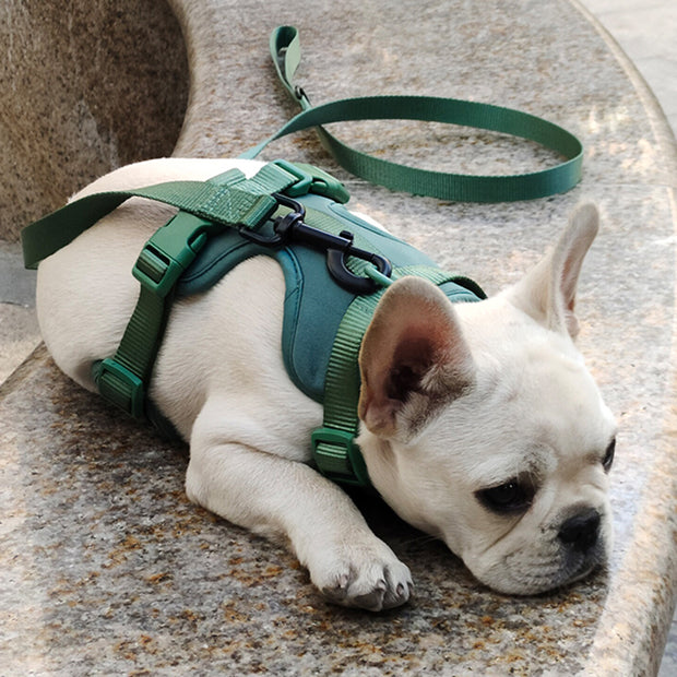 Harnais Chien Anti Traction Leger