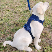 Harnais Chien Anti Traction Leger