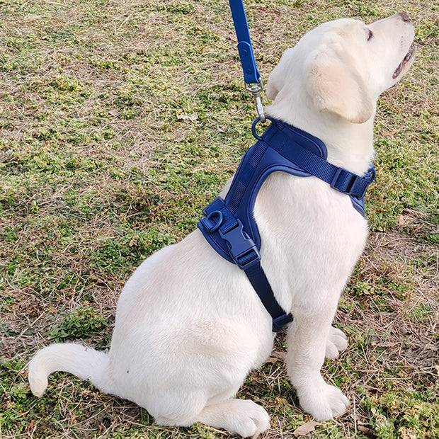 Harnais Chien Anti Traction Leger