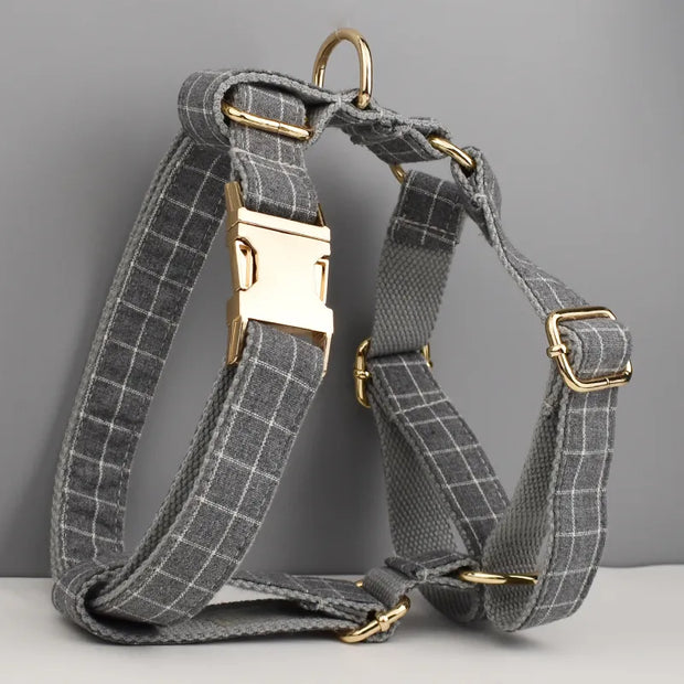 Harnais pour Chien grison