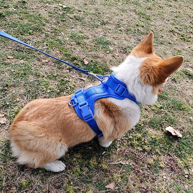 Harnais Chien Anti Traction Leger