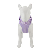 Harnais Chien Anti Traction Leger