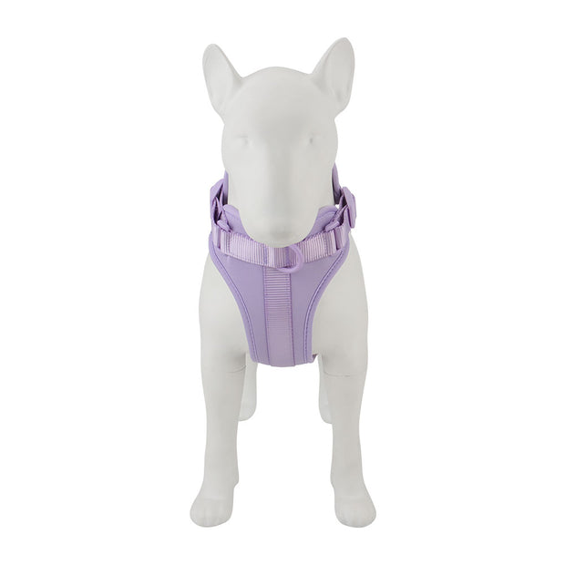 Harnais Chien Anti Traction Leger