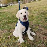 Harnais Chien Anti Traction Leger