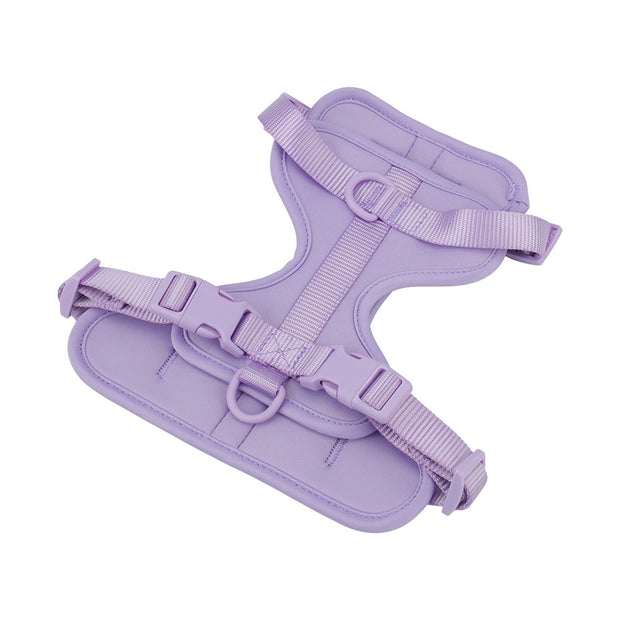Harnais Chien Anti Traction Leger