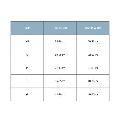 Tailles Harnais Chien Turquoise