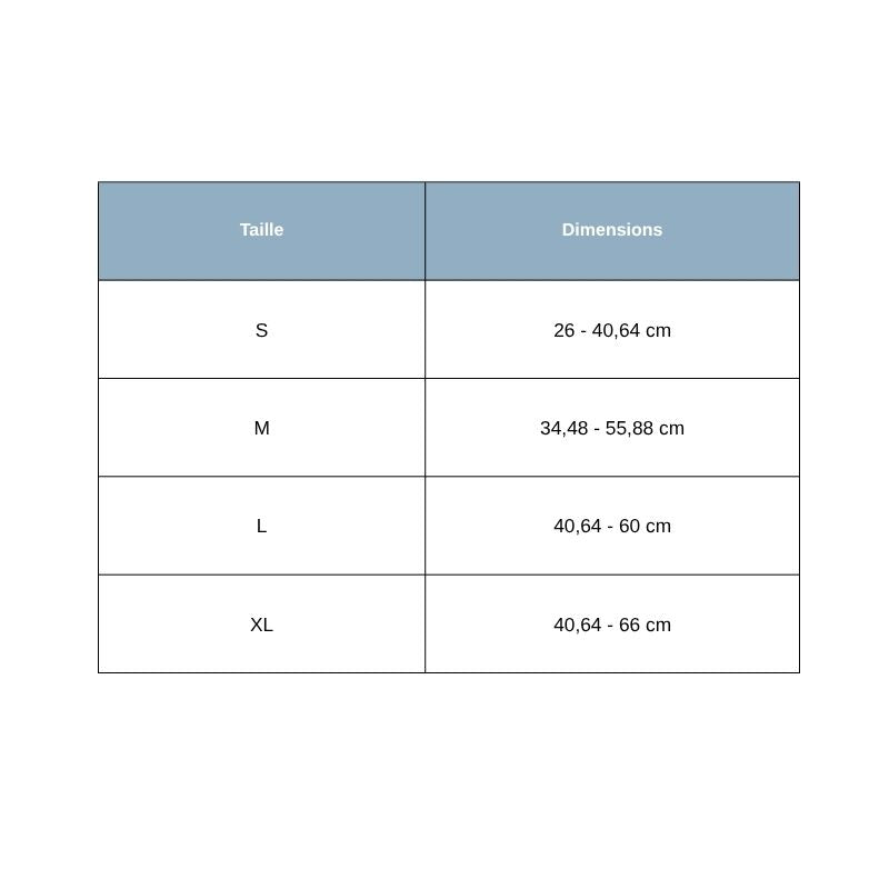 Tailles Collier Chien