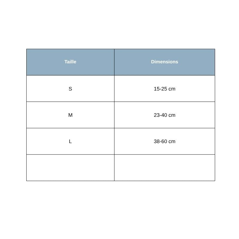 Tailles Collier pour Chien