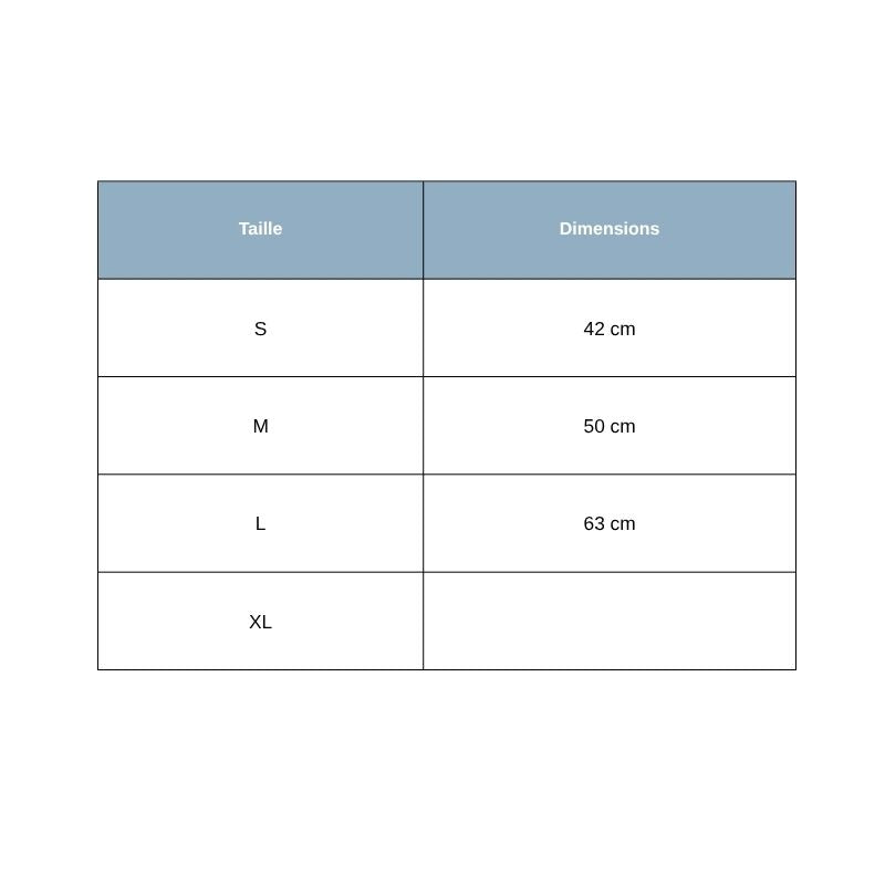 Collier Chien Personnalisé Pois