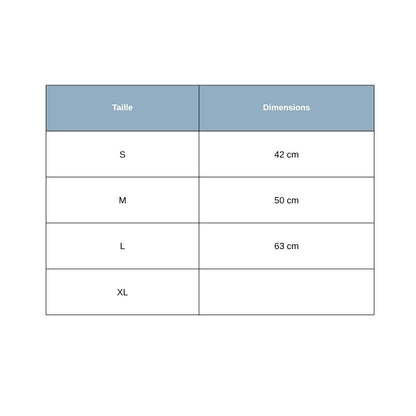 Collier Chien Personnalisé Pois