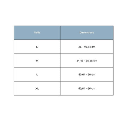 Tailles Collier pour Chien