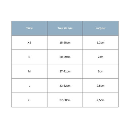 Taillles Collier Chien Personnalisé