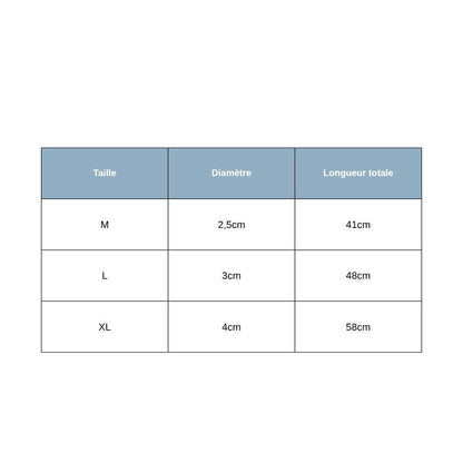 Tailles Collier Chien Clouté