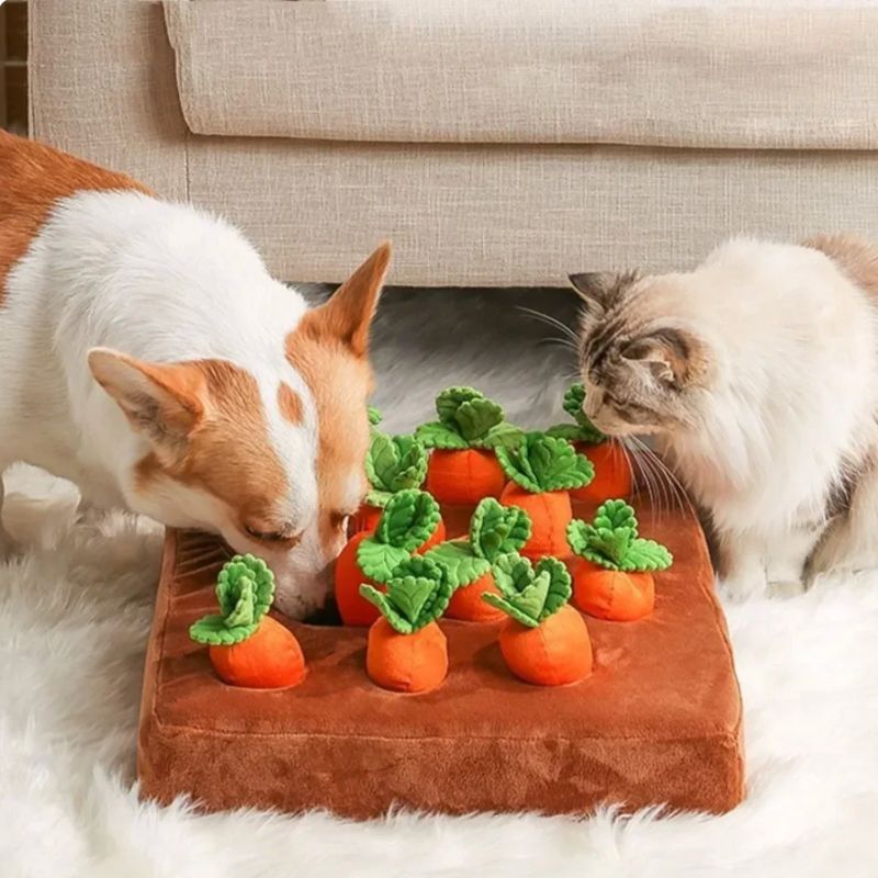 Tapis de Fouille Chien