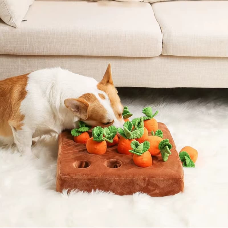 Tapis de Fouille Chien