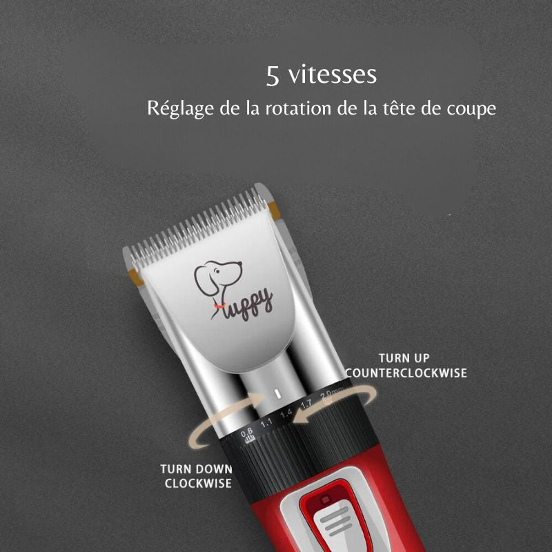 Tondeuse pour Chien