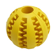 Lanceur de Balle pour Chien
