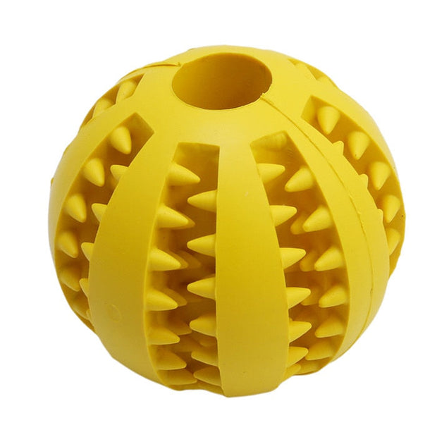 Lanceur de Balle pour Chien