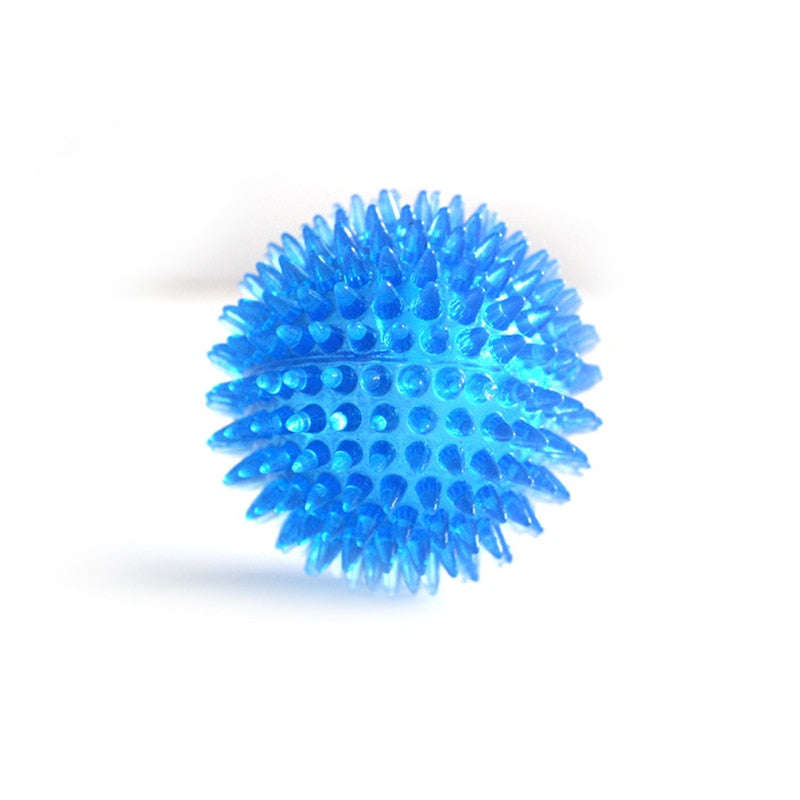 Balle Dentaire Pour Chien Bleu