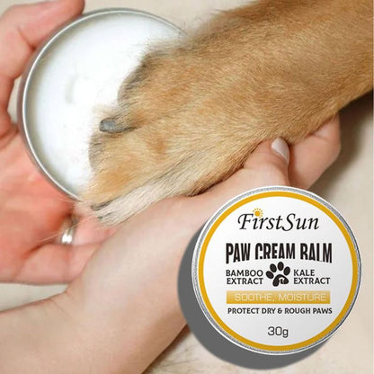 Baume Coussinet Chien