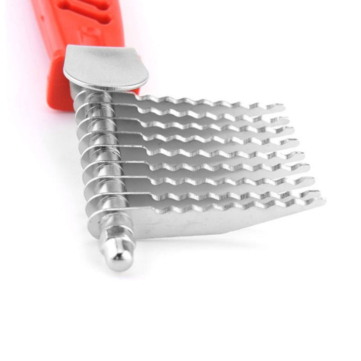 Brosse Chien