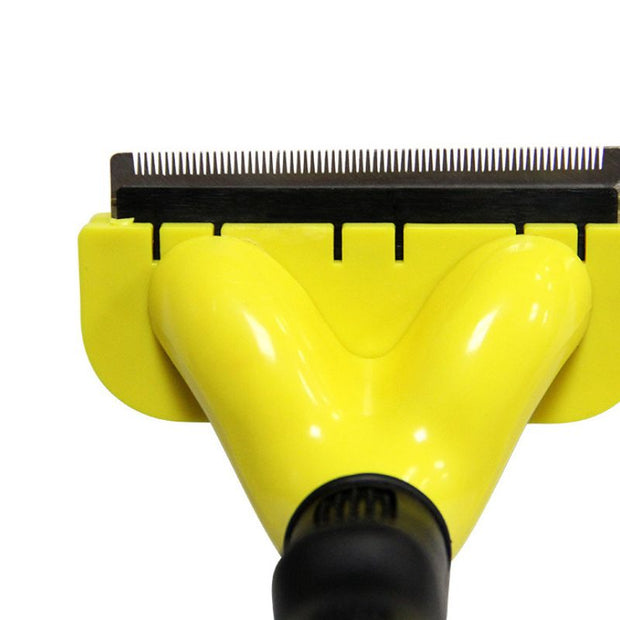 Brosse Chien