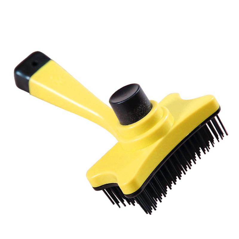 Brosse Chien Poils Courts