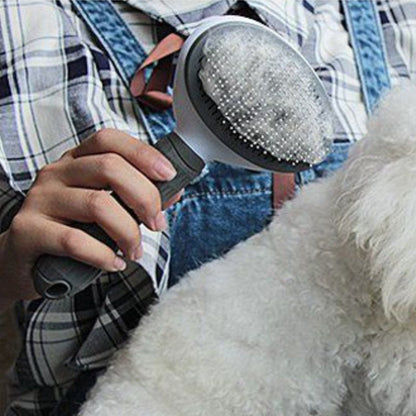 Brosse Poils Longs pour Chien