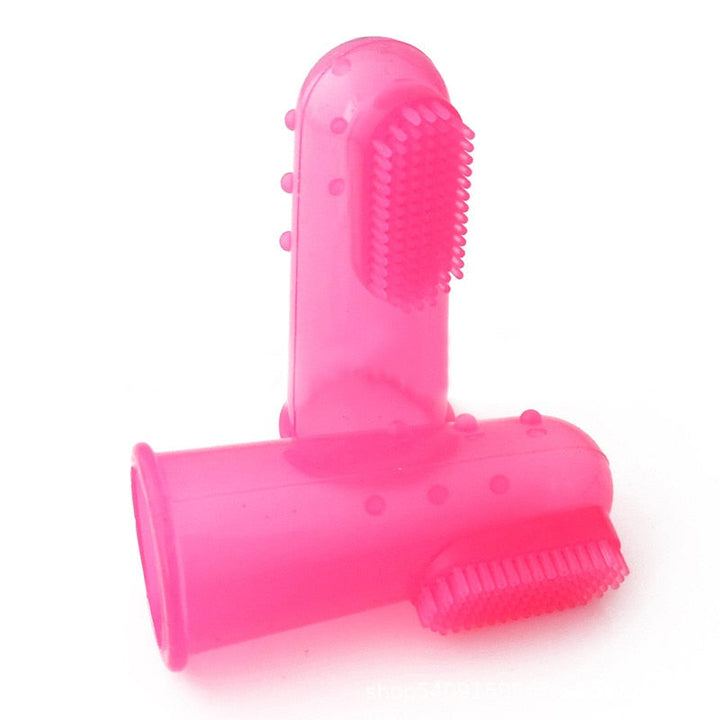 Brosse  à dent pour Chien