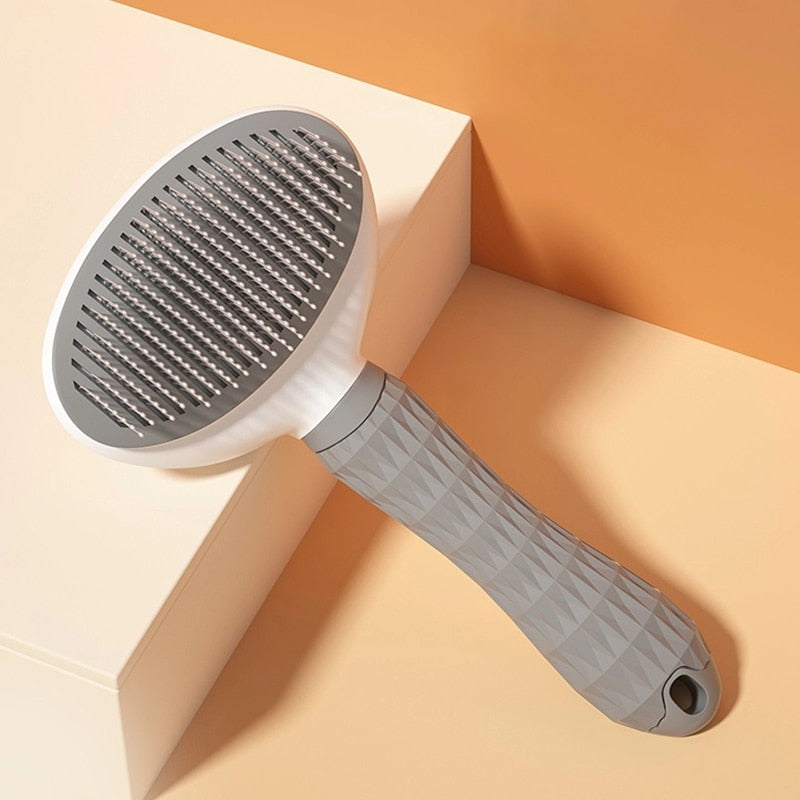 Brosse pour Chien