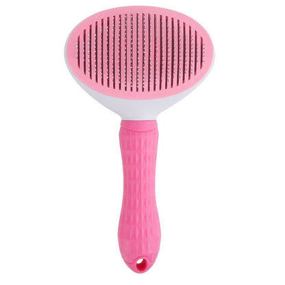 Brosse Chien