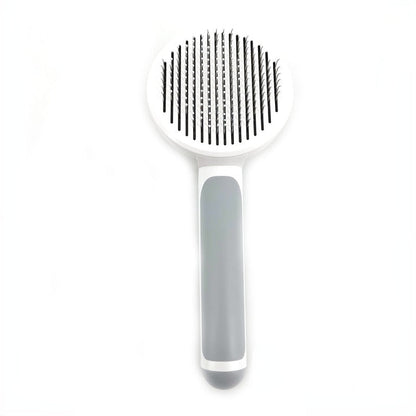 Brosse Auto Nettoyante