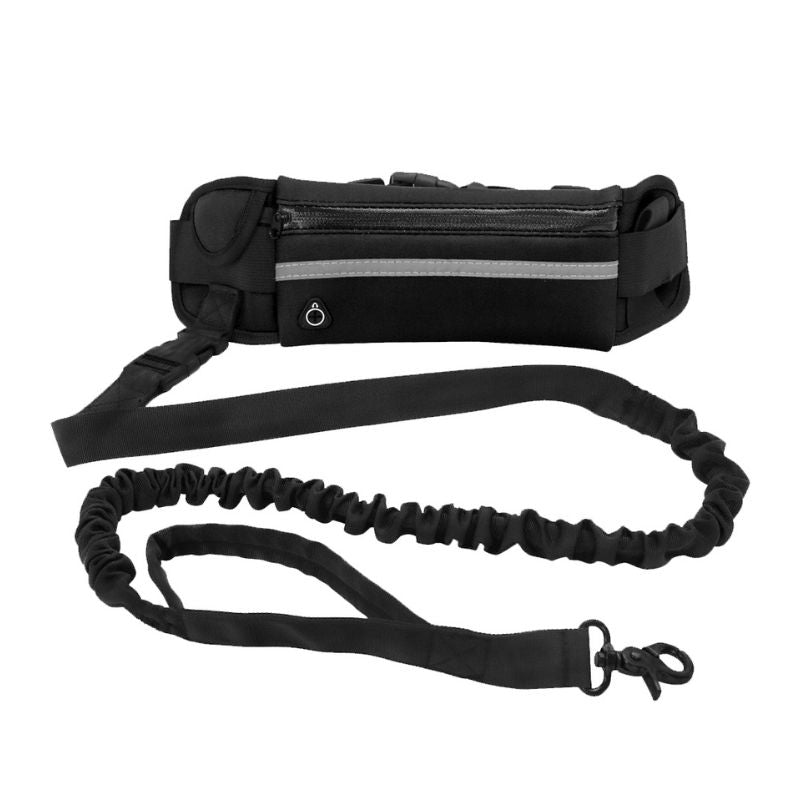 Ceinture Canicross
