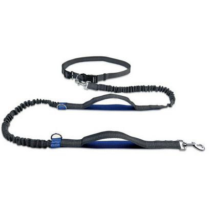 Ceinture CaniCross Husky