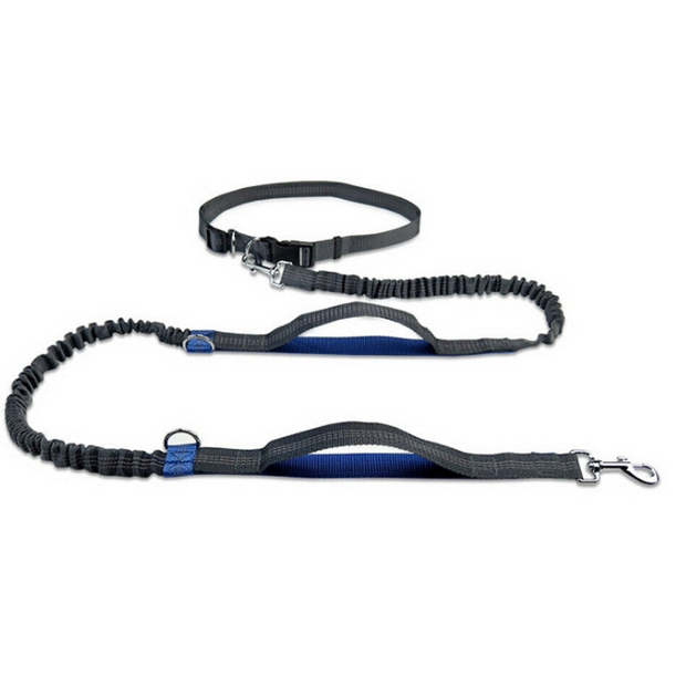 Ceinture Cani Cross Husky