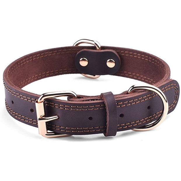 Collier Chien Cuir