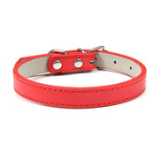 Collier Chien Cuir Rouge