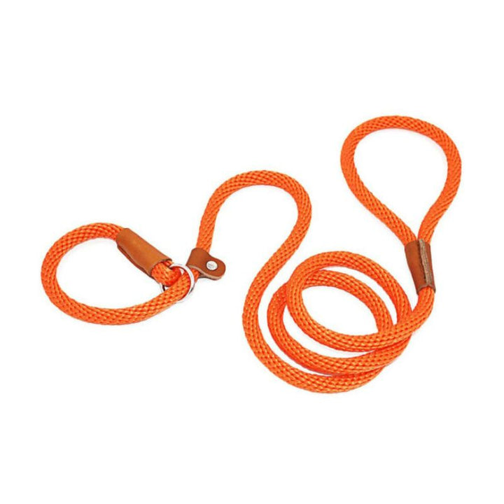 Collier Etrangleur Chien