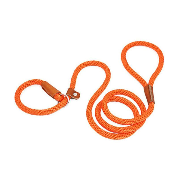 Collier Etrangleur Chien