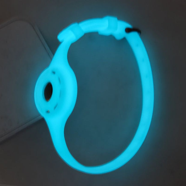 Collier Airtag Chien