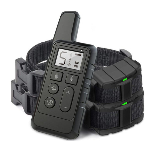 Collier Anti Fugue Chien Noir