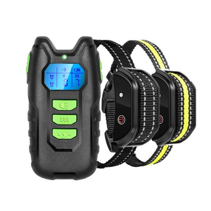 Collier Chien Anti Fugue