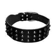 Collier Chien Cuir