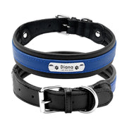 Collier Chien Cuir